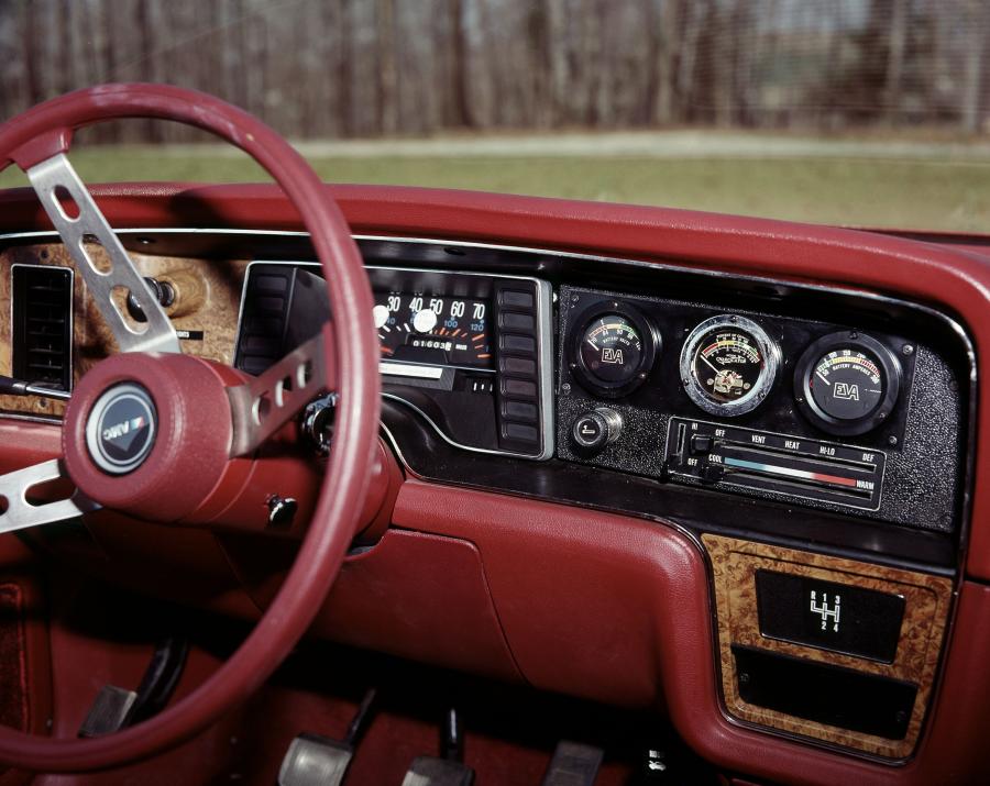 Панель приборов EVA AMC Pacer Change of Pace (7766-7) 1977 года  (фото 6 из 24)